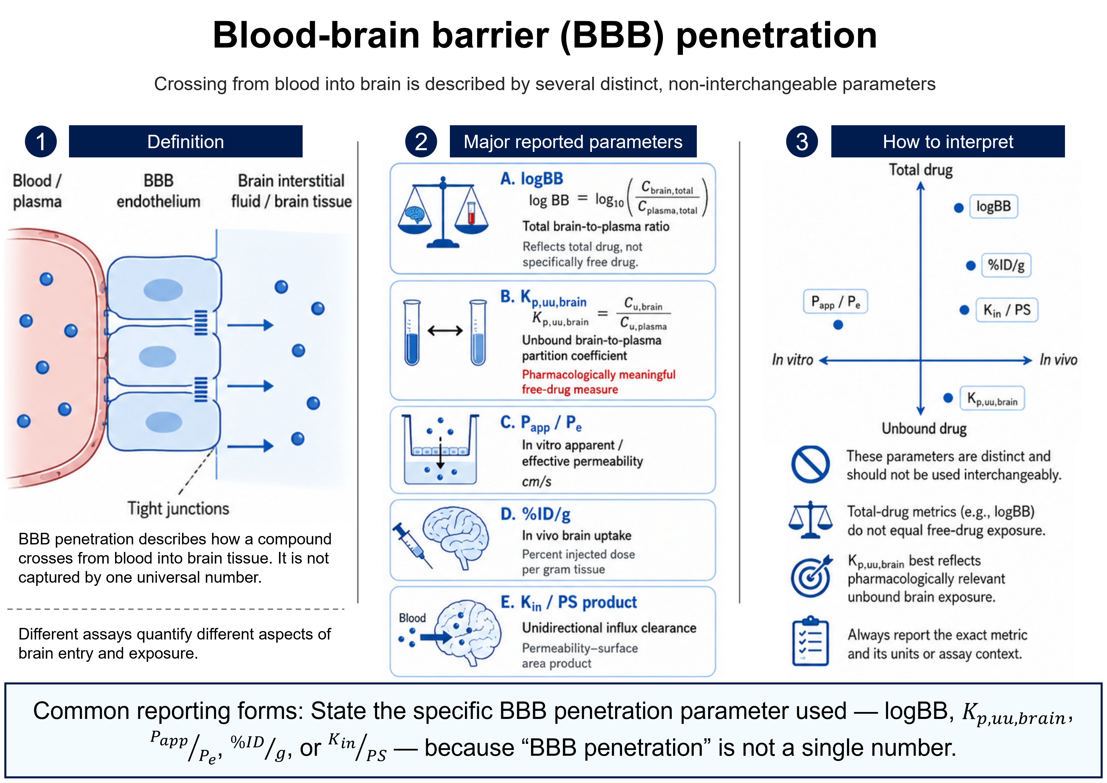 Blood–brain barrier (BBB) penetration: crossing from blood into brain (across the tight-junction-sealed capillary endothelium) is described by several distinct, non-interchangeable parameters. logBB = log10(Cbrain,total/Cplasma,total) is the total brain-to-plasma ratio (total drug); Kp,uu,brain = Cu,brain/Cu,plasma is the unbound brain-to-plasma partition coefficient and the pharmacologically meaningful free-drug measure; Papp/Pe is in vitro permeability (cm/s); %ID/g is in vivo brain uptake (percent injected dose per gram); Kin/PS is the unidirectional influx clearance (permeability–surface-area product). Total-drug metrics like logBB do not equal free-drug exposure; always state the exact parameter, units, and assay context because BBB penetration is not a single number.