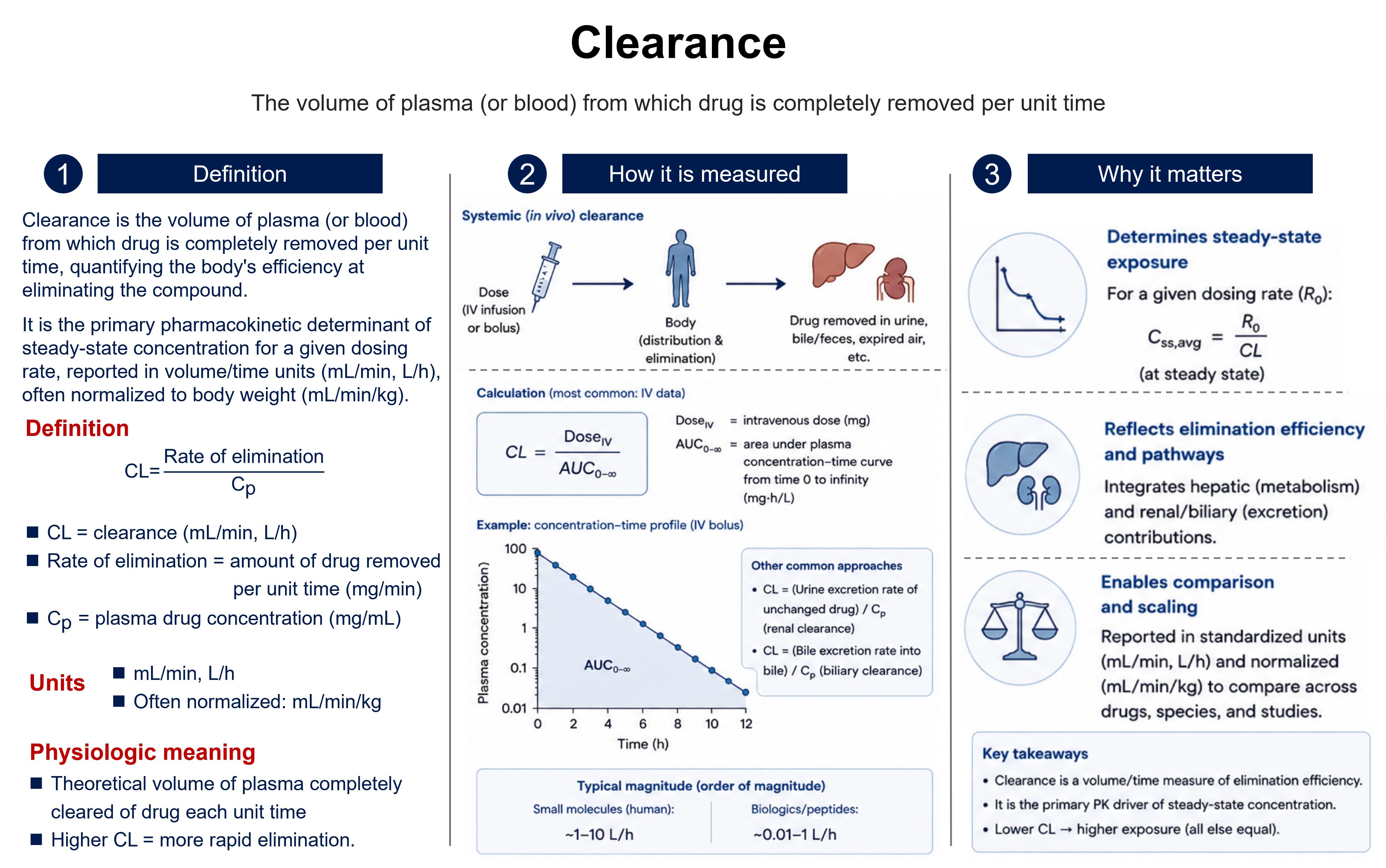 Clearance: the volume of plasma (or blood) from which drug is completely removed per unit time, CL = (rate of elimination)/Cp, quantifying how efficiently the body eliminates the compound. Systemic clearance is most often computed from intravenous data as CL = DoseIV / AUC0–∞; renal clearance is the urinary excretion rate of unchanged drug divided by Cp, biliary clearance the biliary excretion rate divided by Cp, and total clearance is their sum (hepatic metabolism + renal/biliary excretion). It is the primary determinant of steady-state exposure (Css,avg = R0/CL, so lower clearance gives higher exposure), reported in mL/min or L/h, often normalized to body weight (mL/min/kg).