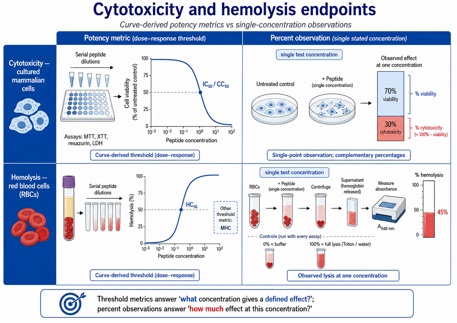 Cytotoxicity and hemolysis endpoints: a 2×2 comparison of curve-derived potency metrics versus single-concentration percent observations. Top row — cytotoxicity in cultured mammalian cells: a dose–response curve of viability (% of untreated control, measured by MTT/XTT/resazurin/LDH) yields the IC50/CC50 threshold, while a single test concentration gives complementary % viability and % cytotoxicity (≈100% − viability). Bottom row — hemolysis of red blood cells: a dose–response curve of % hemolysis yields HC50 (or the minimum hemolytic concentration, MHC), while a single concentration gives % hemolysis from released hemoglobin (absorbance ≈540 nm), normalised to 0% (buffer) and 100% (Triton/water) controls. Threshold metrics answer what concentration gives a defined effect; percent observations answer how much effect at a stated concentration.