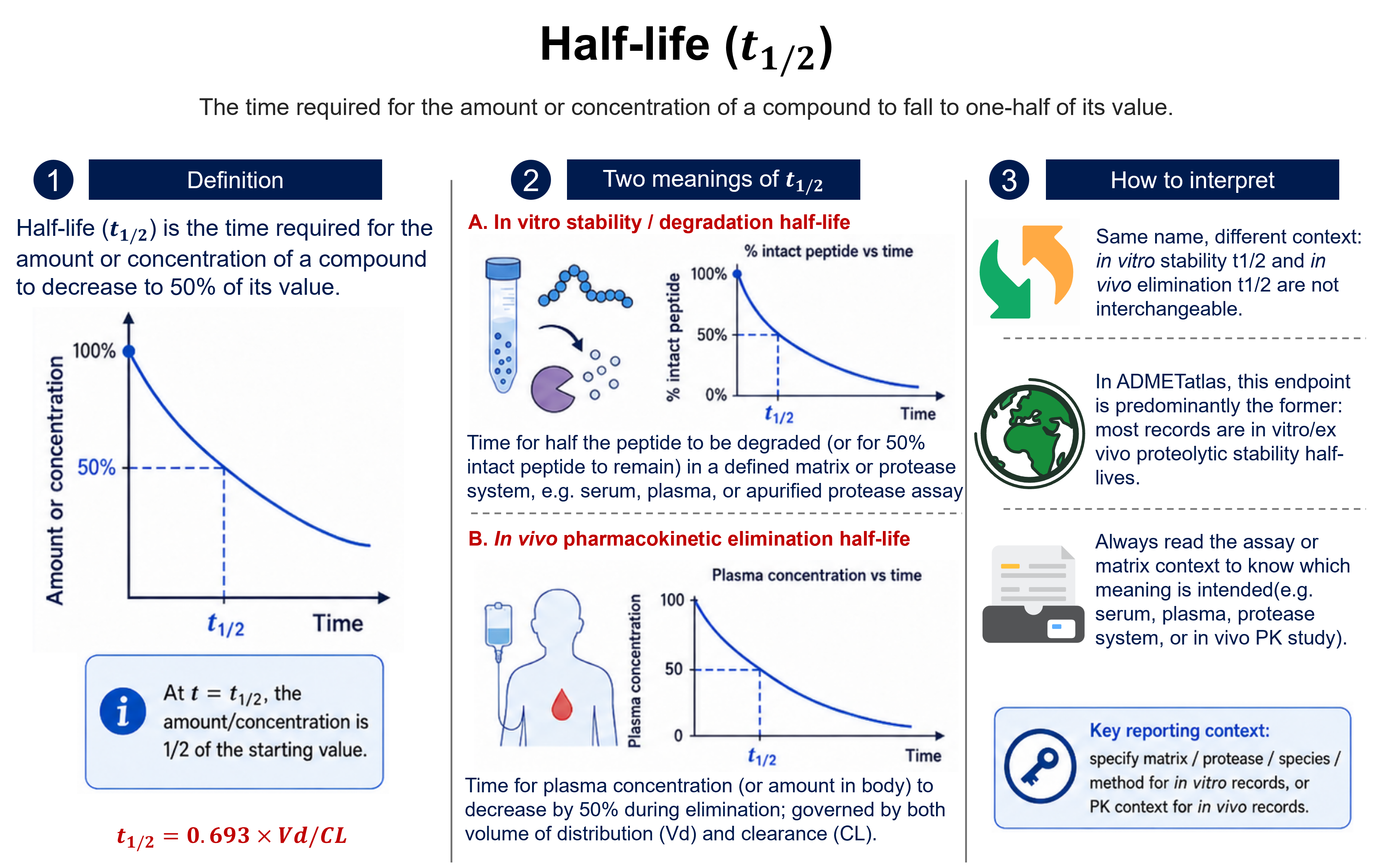 Half-life (t1/2): the time required for the amount or concentration of a compound to fall to one-half of its value, read where the decay curve crosses 50%. The same name covers two distinct quantities: (A) an in vitro stability/degradation half-life — the time for half the peptide to be degraded (or 50% to remain intact) in a defined matrix or protease system (serum, plasma, or a purified protease assay); and (B) an in vivo pharmacokinetic elimination half-life — the time for plasma concentration to fall by 50% during elimination, a derived parameter governed by volume of distribution and clearance (t1/2 = 0.693 × Vd / CL). The two are not interchangeable; in ADMETatlas this endpoint is predominantly the in vitro/ex vivo proteolytic stability half-life, so the assay/matrix context must be read to know which is meant.