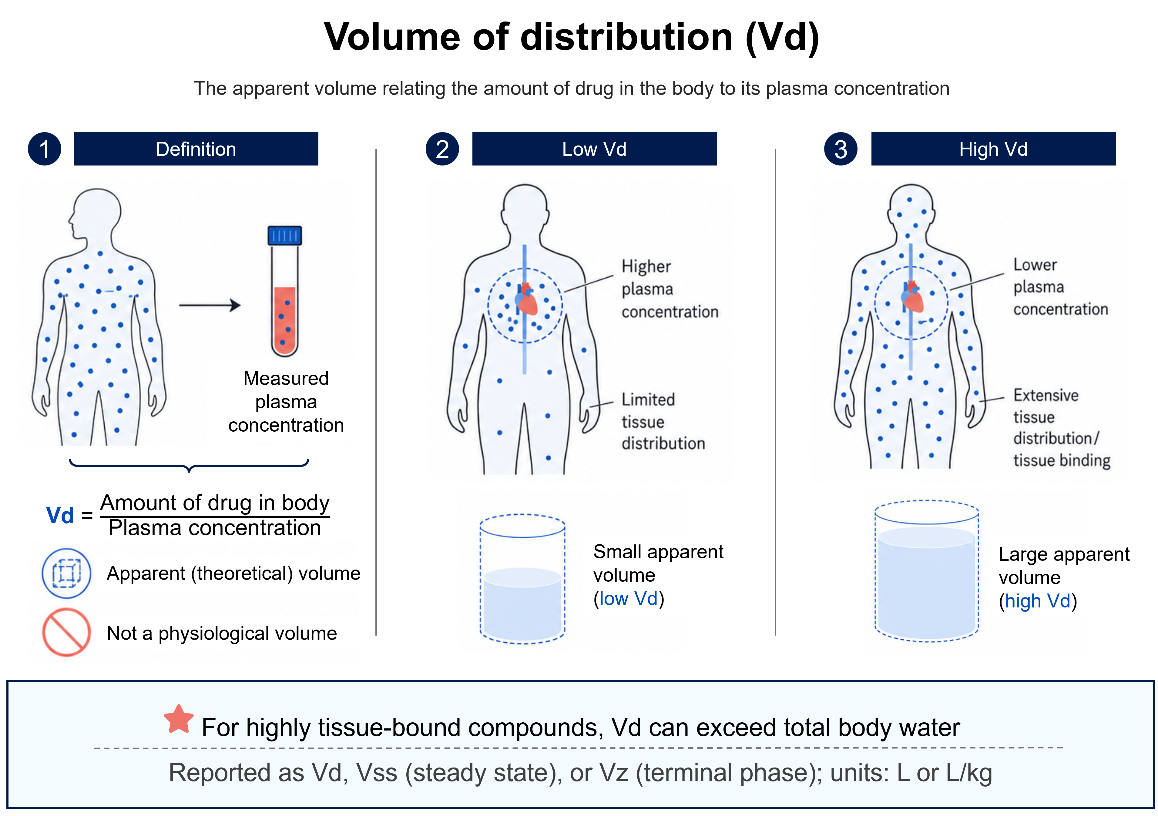 Volume of distribution explained: Vd equals the amount of drug in the body divided by plasma concentration. A low Vd keeps drug in plasma (higher plasma concentration, limited tissue distribution, small apparent volume); a high Vd reflects extensive tissue distribution and binding (lower plasma concentration, large apparent volume). Reported as Vd, Vss, or Vz in L or L/kg.