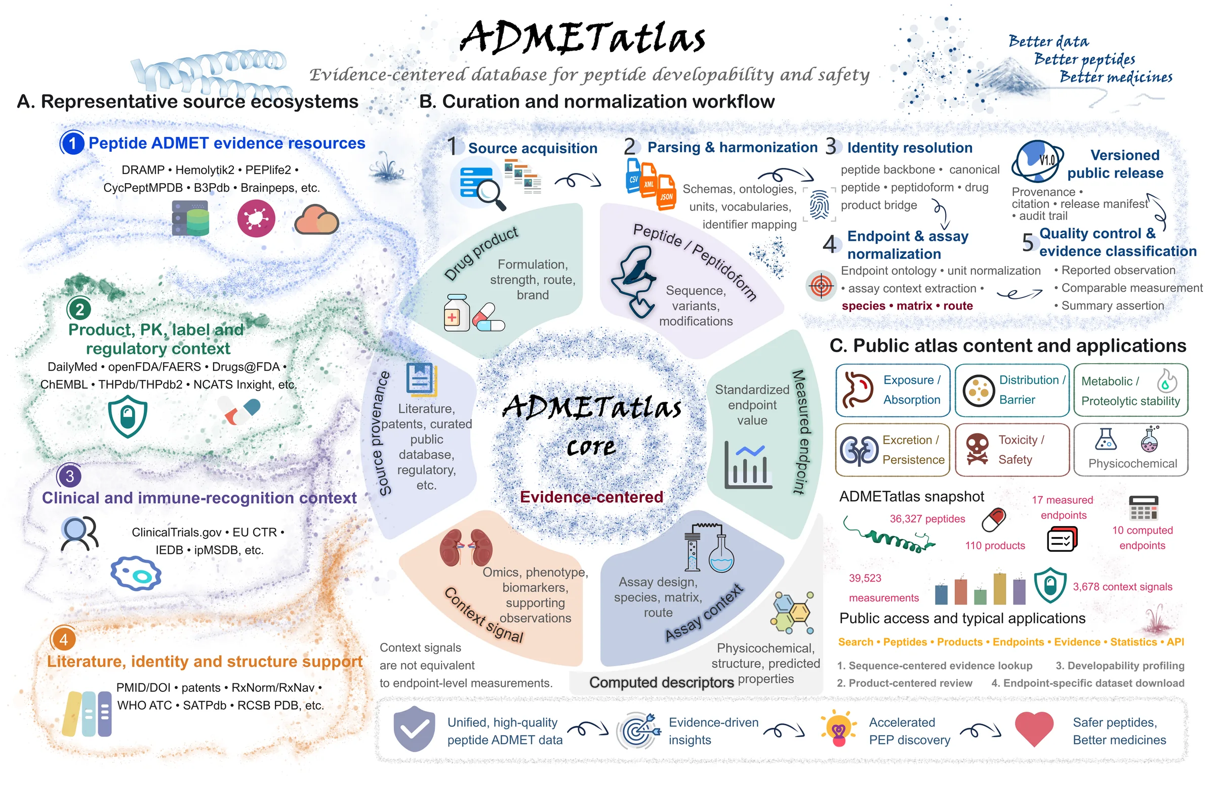 ADMETatlas overview. A: representative source ecosystems — peptide ADMET evidence resources, product / PK / label / regulatory context, clinical and immune-recognition context, and literature / identity / structure support. B: the curation and normalization workflow — source acquisition, parsing and harmonization, identity resolution, endpoint and assay normalization, quality control and evidence classification, and versioned public release, around an evidence-centered core data model. C: public atlas content and applications across six ADMET and physicochemical domains — 36,327 peptides, 110 products, 17 measured endpoints, 10 computed descriptors, 39,523 measurements and 3,678 context signals.